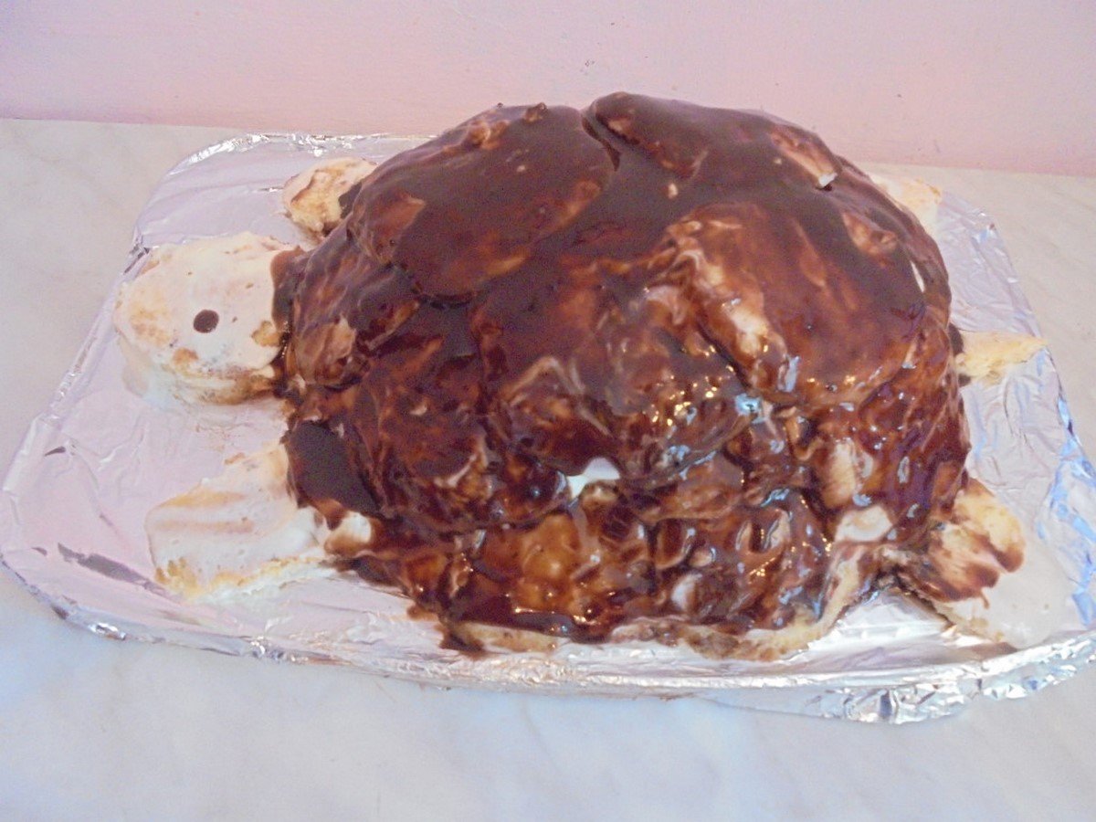 Торт черепашка рецепт с пошаговым фото со сметаной в домашних