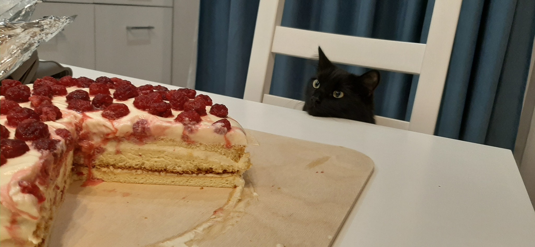 Кот стряпает торт