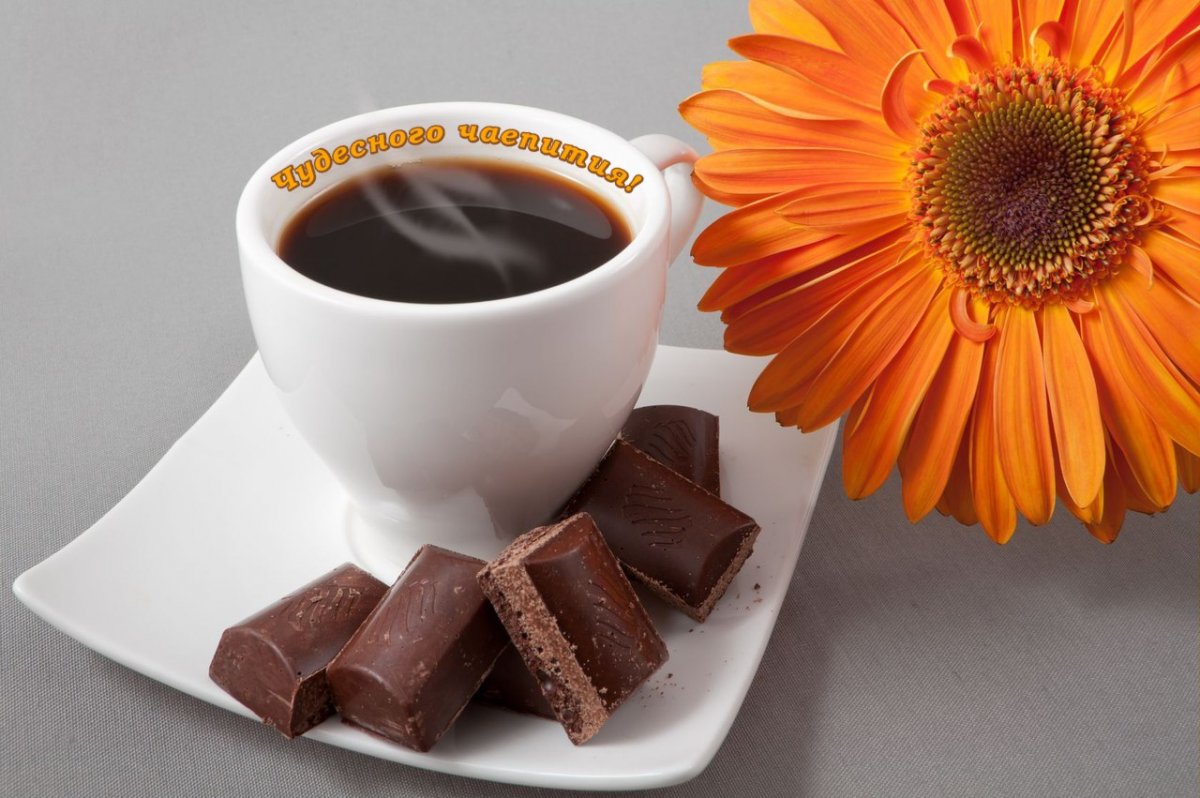 Шоколад цветы кофе