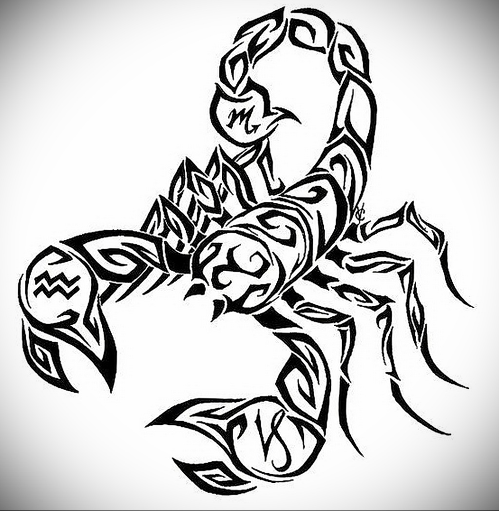 Татуировка скорпион эскиз