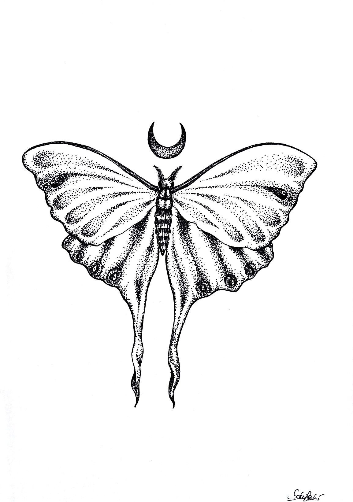 Ночная бабочка тату эскиз