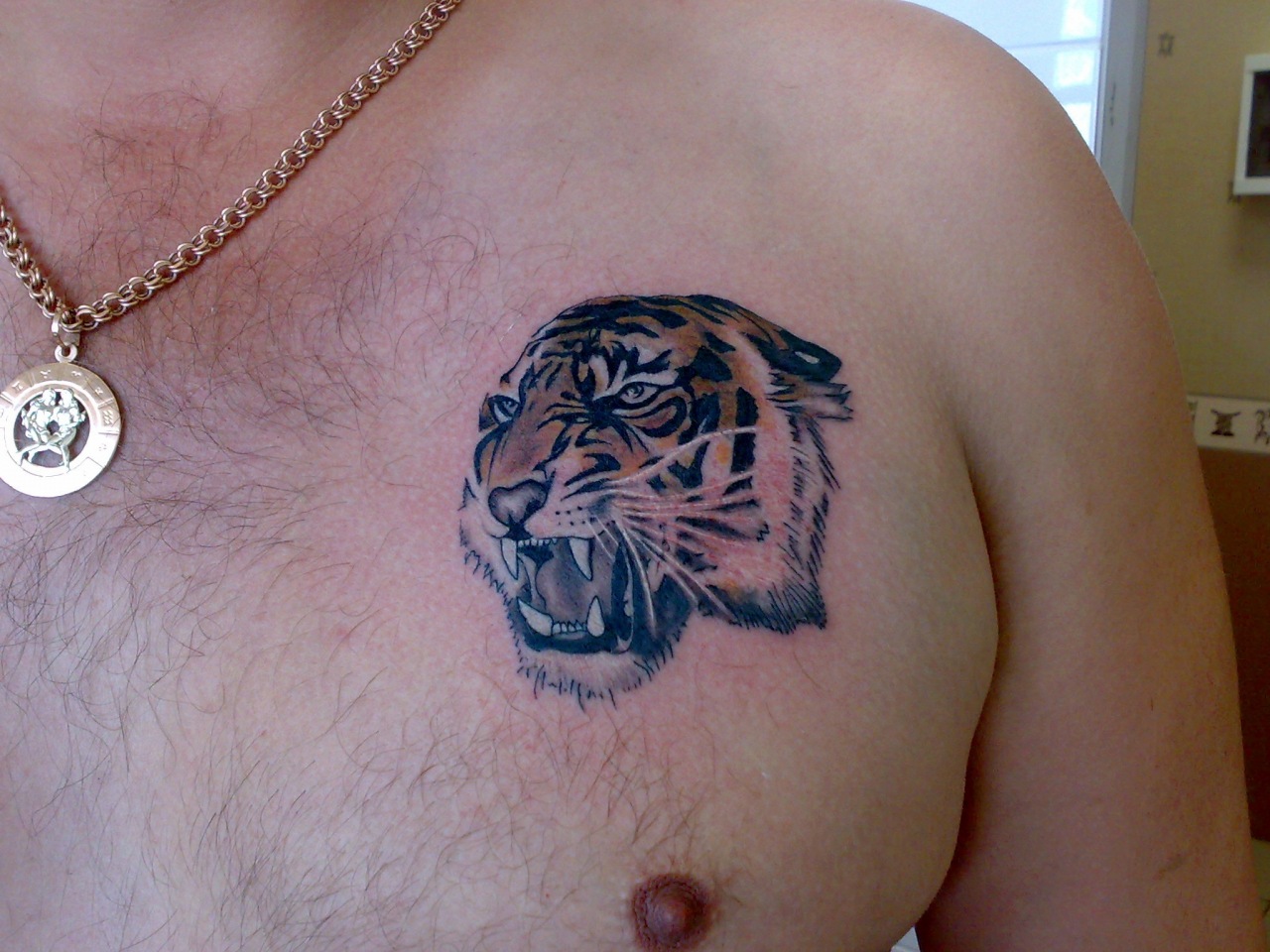 Тату тигр на груди мужские