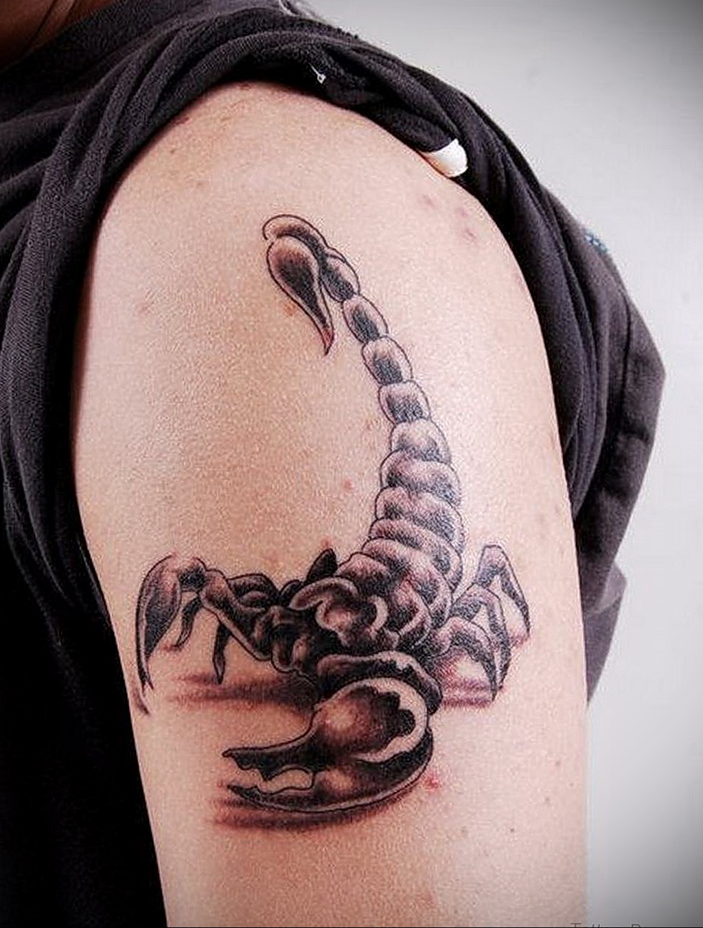 скорпионы татуировки на грудь для мужчин фото 110
