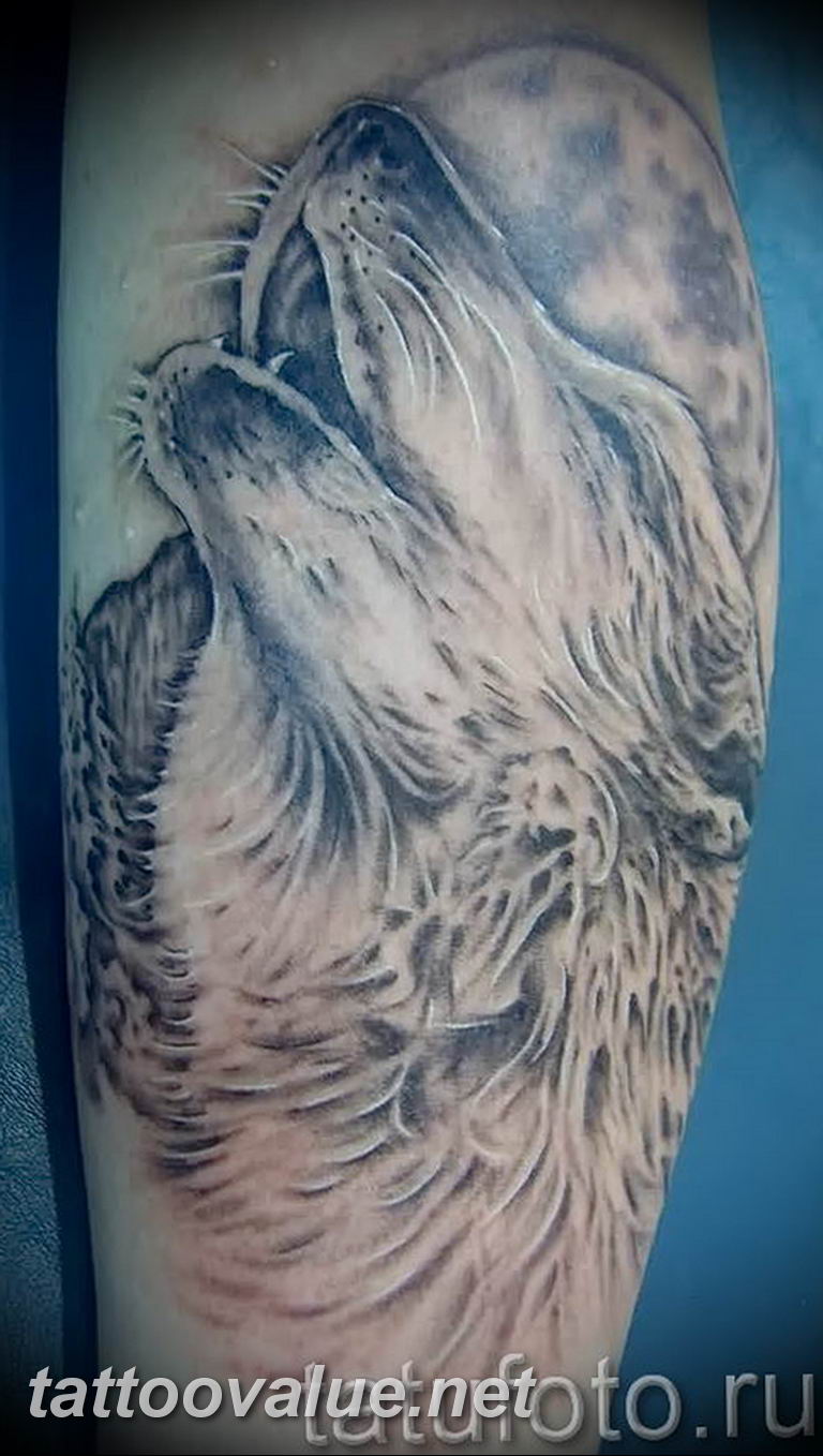 Татуировка воющего волка контуром из фильма на гребне волны 2015