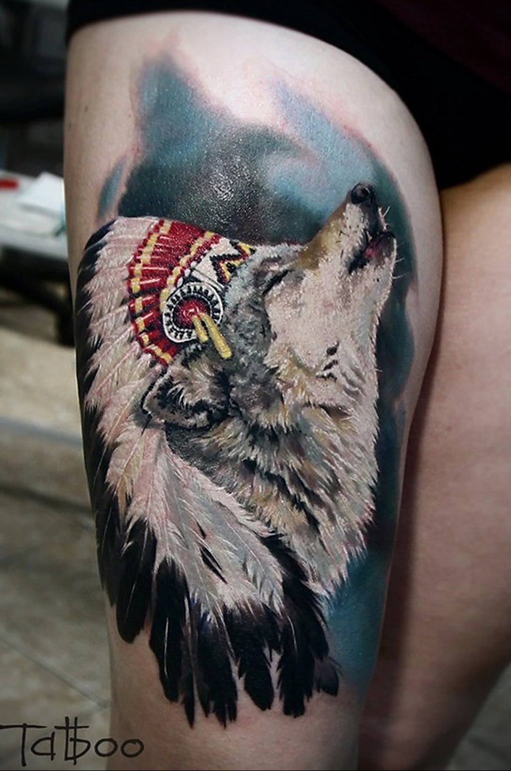 Волк с перьями на голове