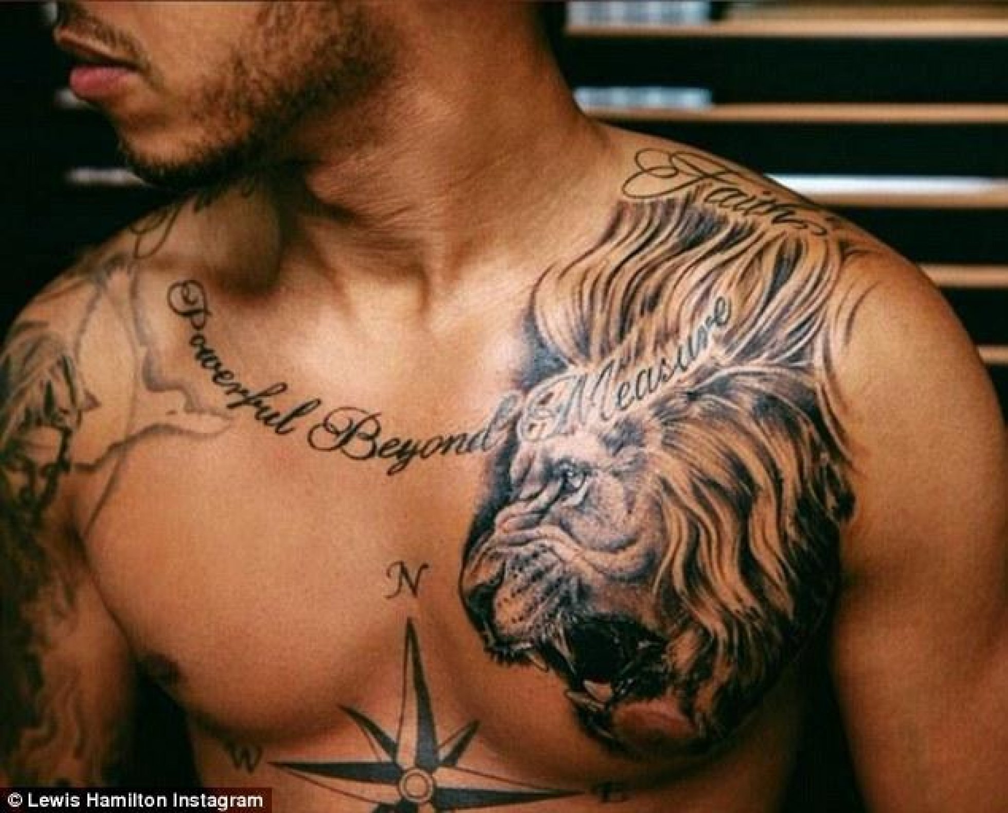 Татуировки Льва для мужчин на грудине