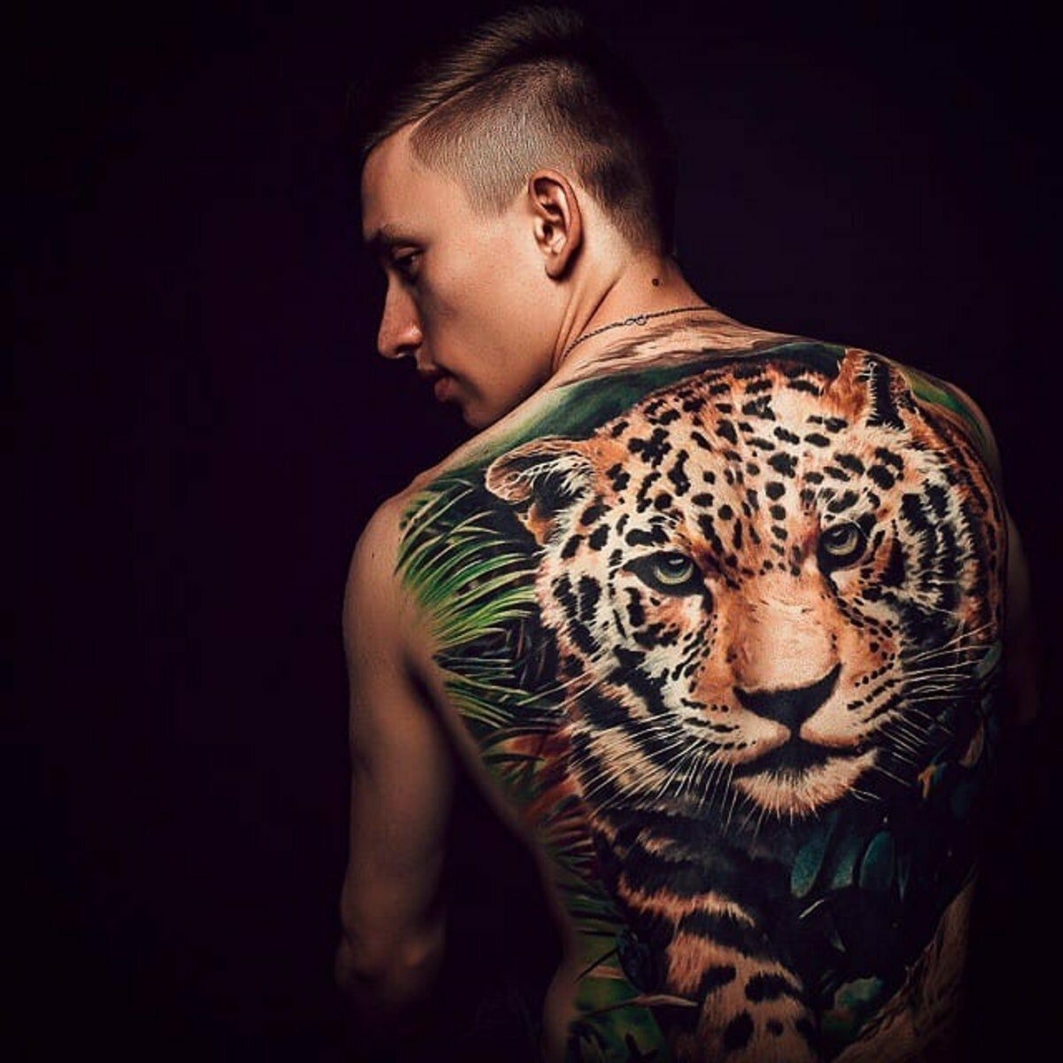Тату тигр на спине
