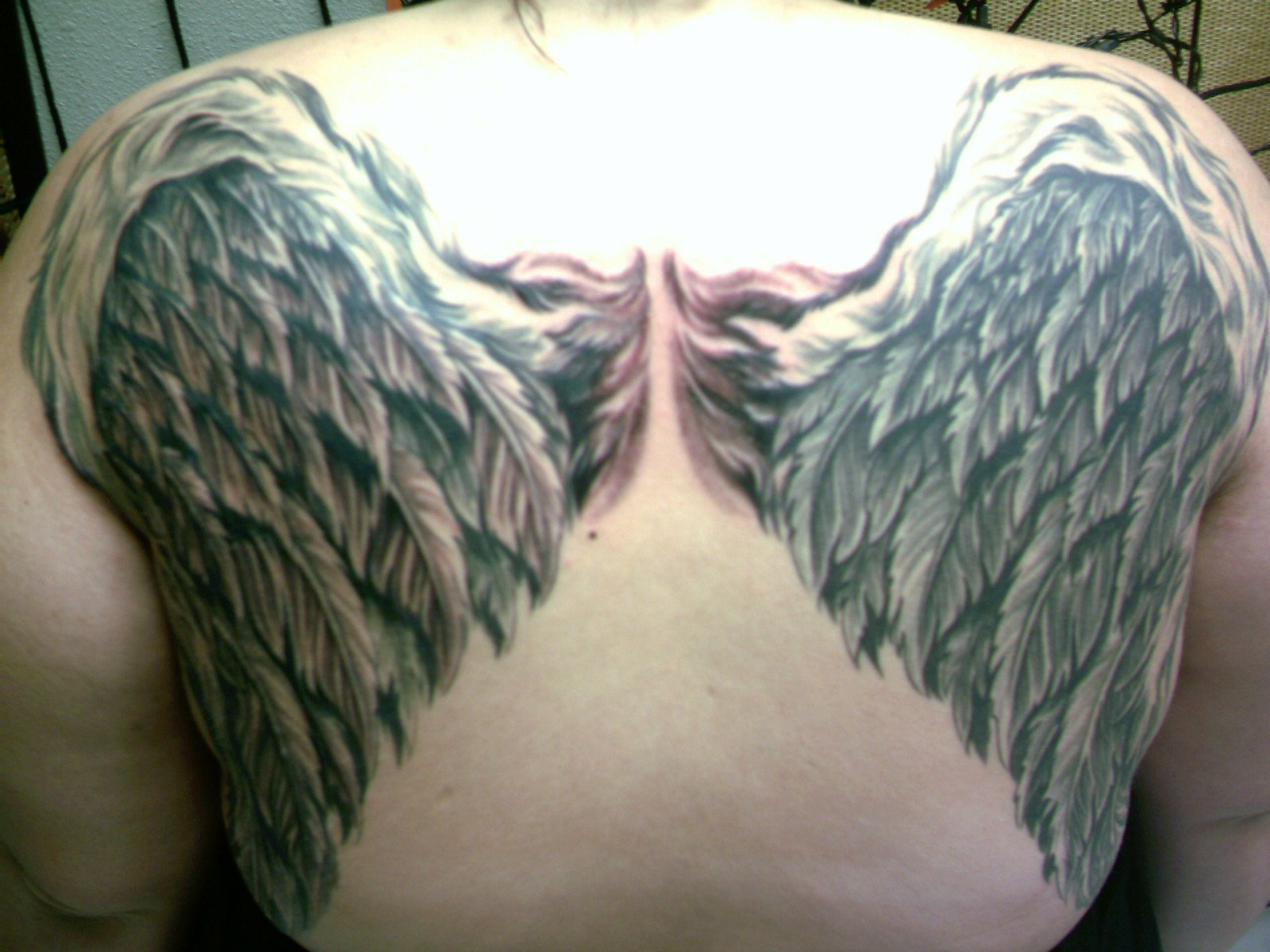 Татуировка Крылья демона на спине