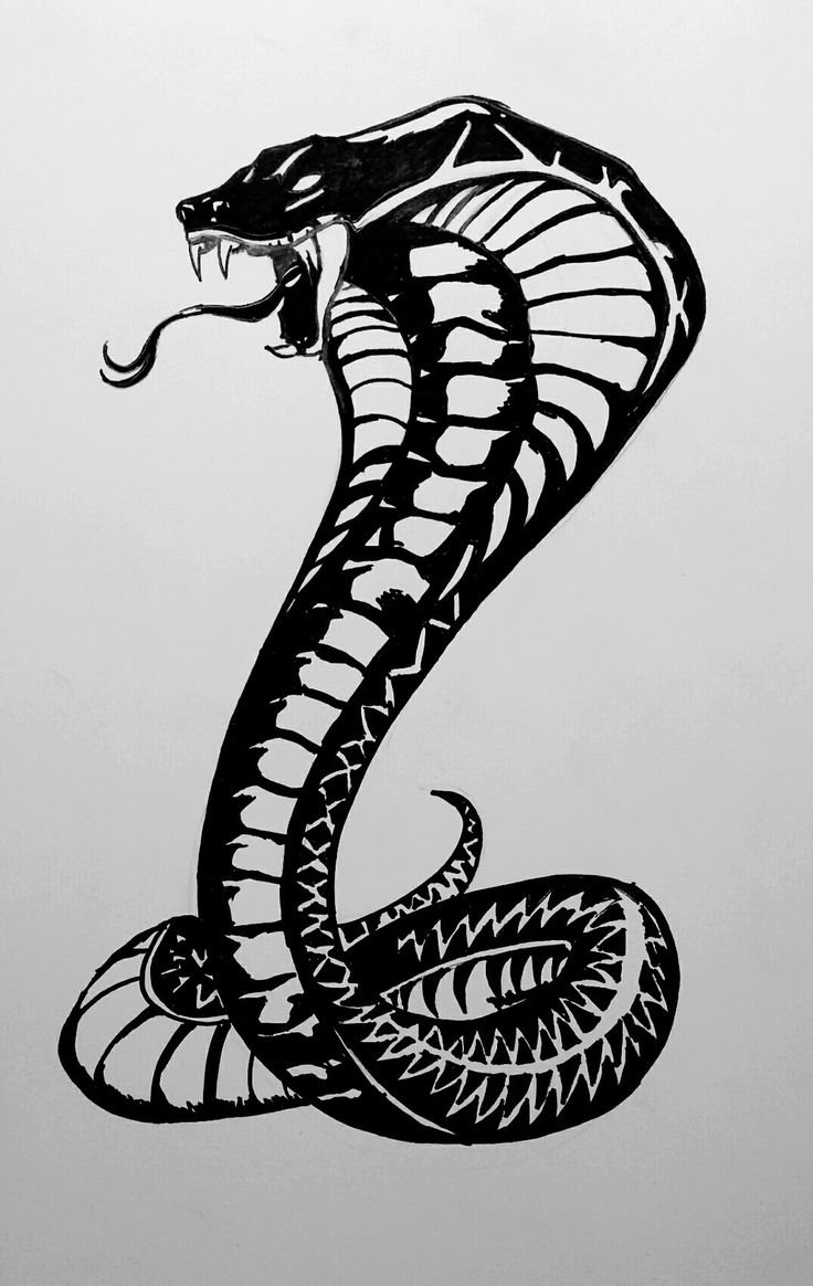 Стилизованное изображение змеи