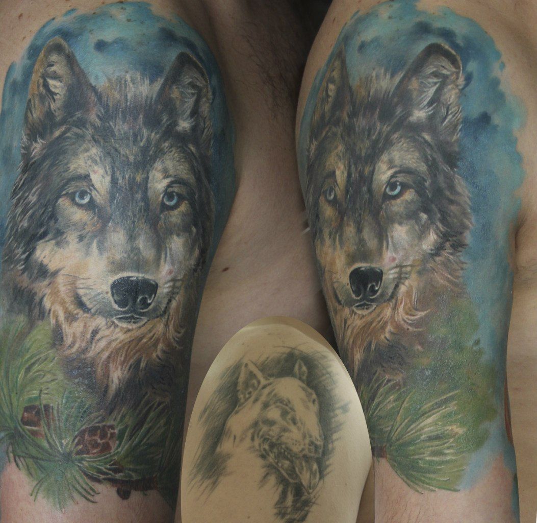 Салон Татуировки волк