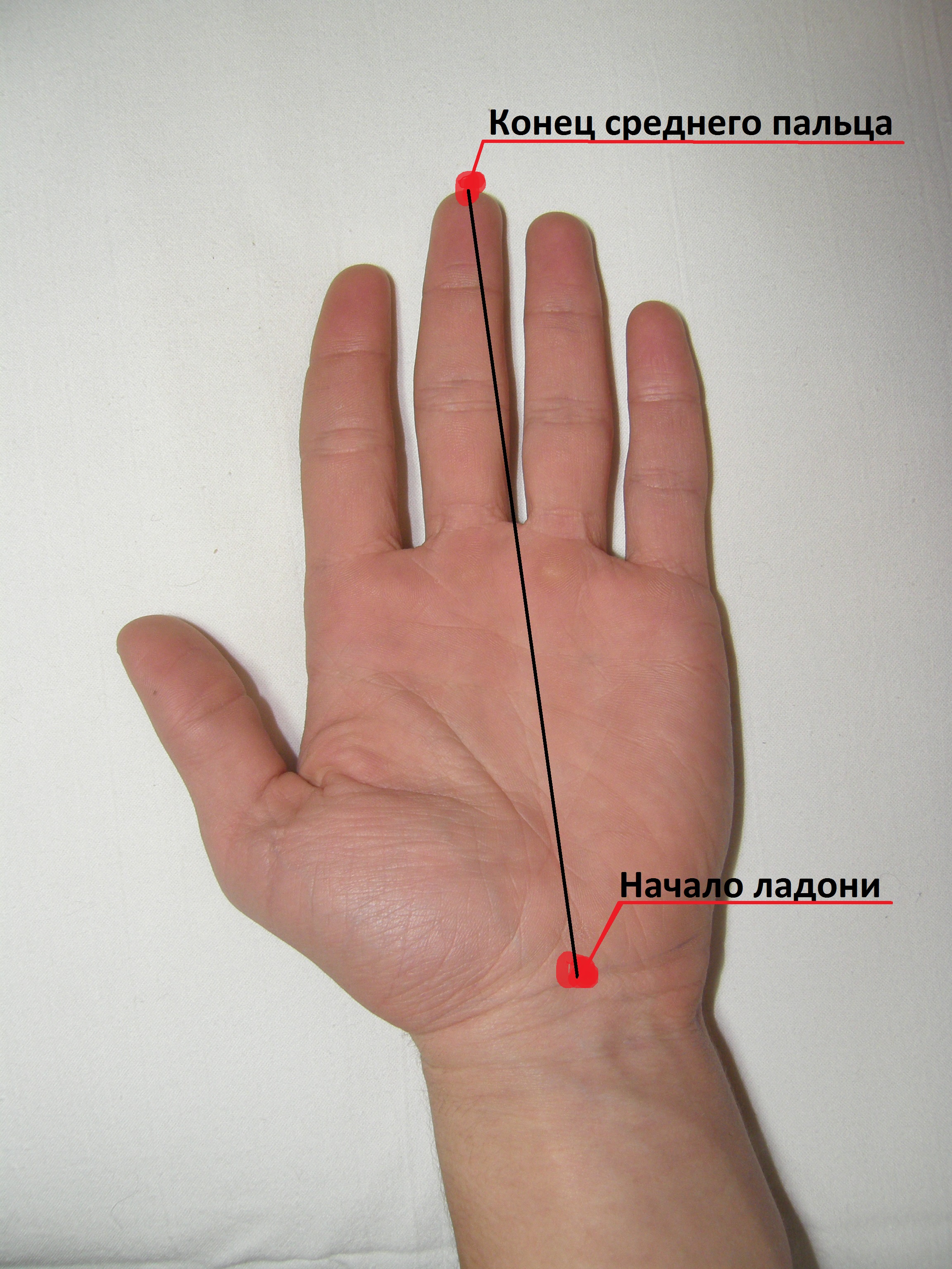 размер члена по длине пальца (120) фото