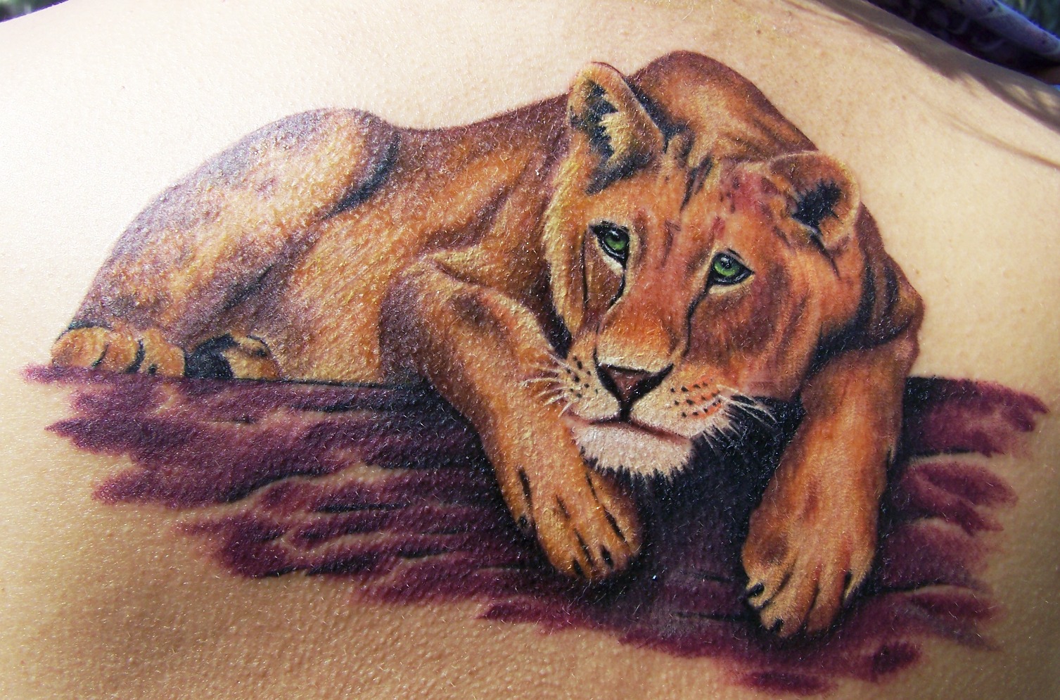 Lioness tattoo meaning