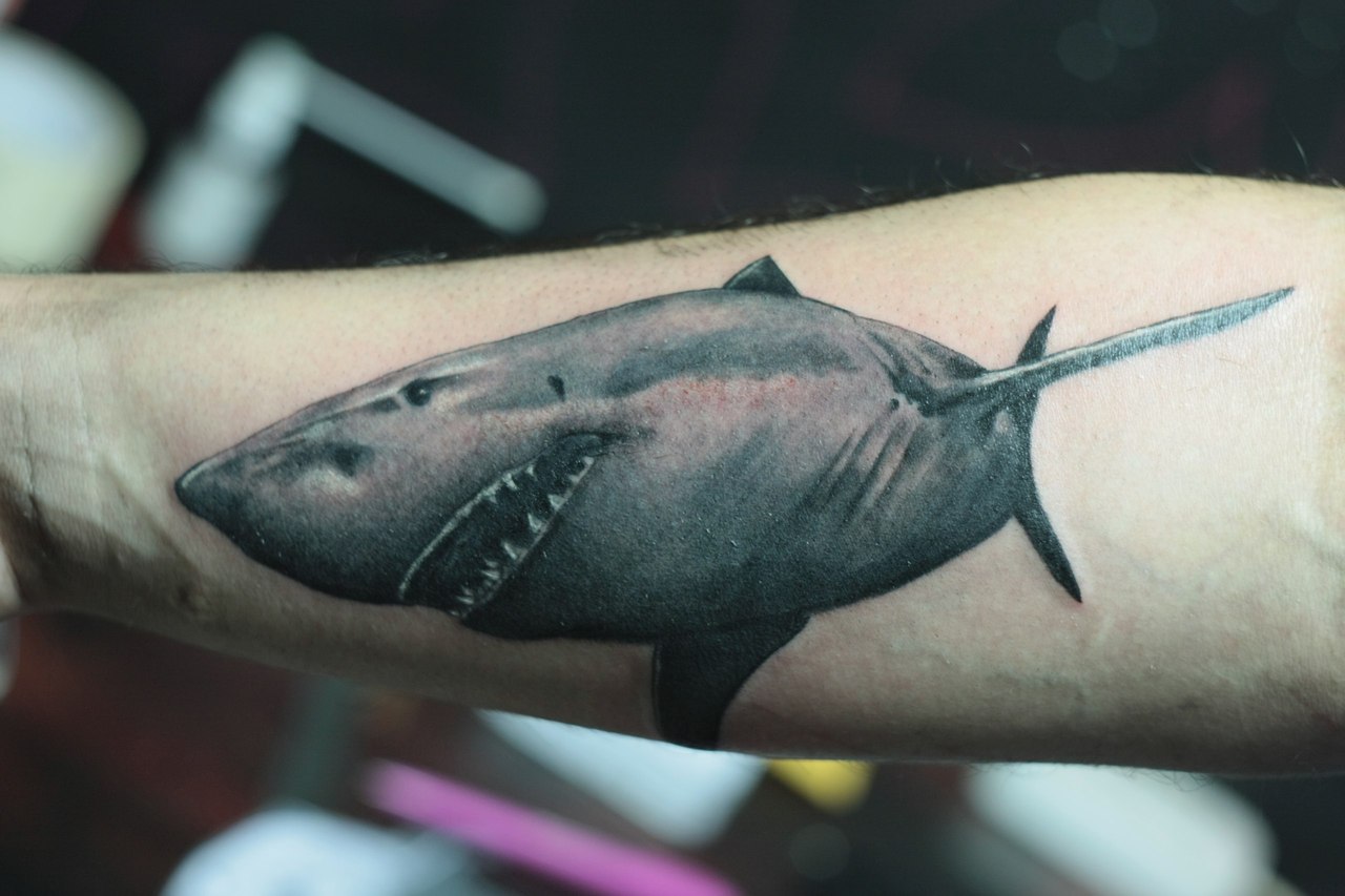 Shark armpit tattoo