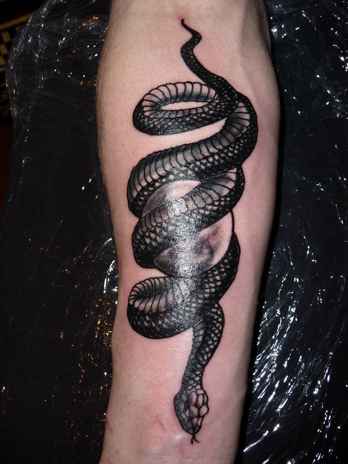 Картинки татуировки змеи (58 фото) .