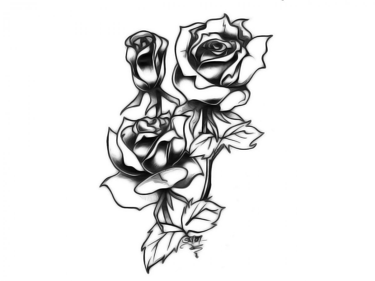 Роза тату эскиз черно белый