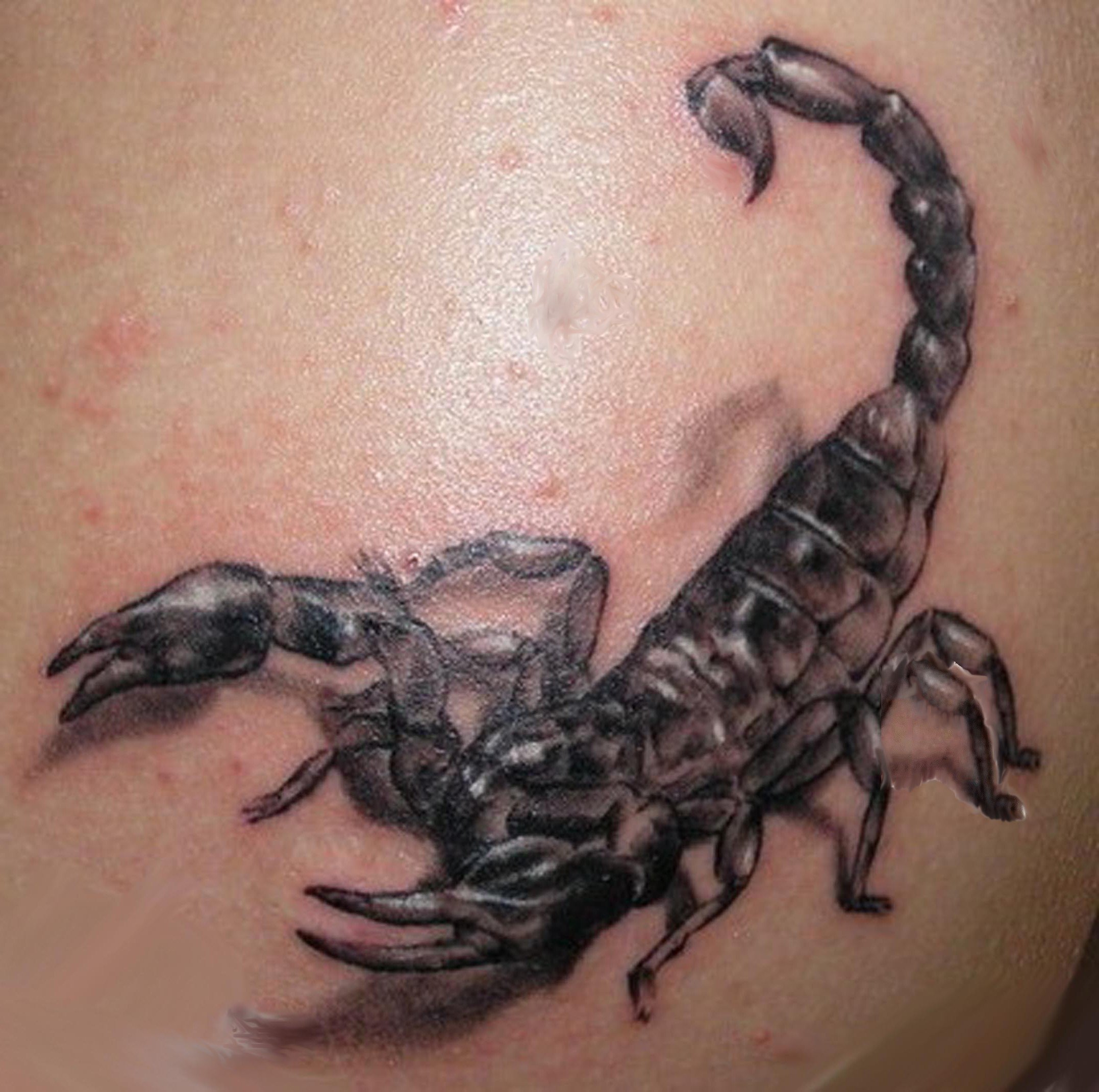 татуировка скорпион у мужчин на груди фото 111