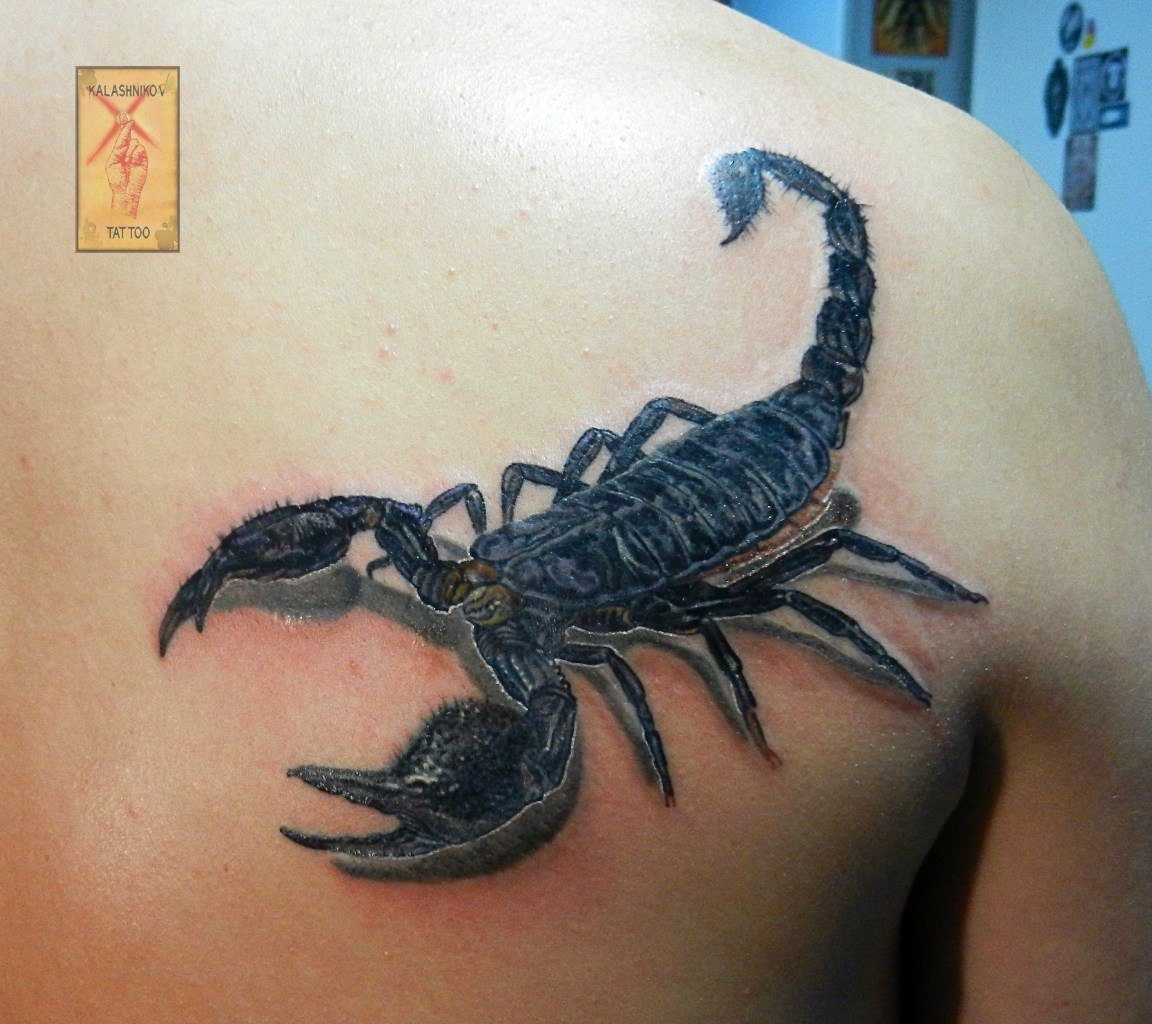 татуировка скорпион у мужчин на груди фото 45