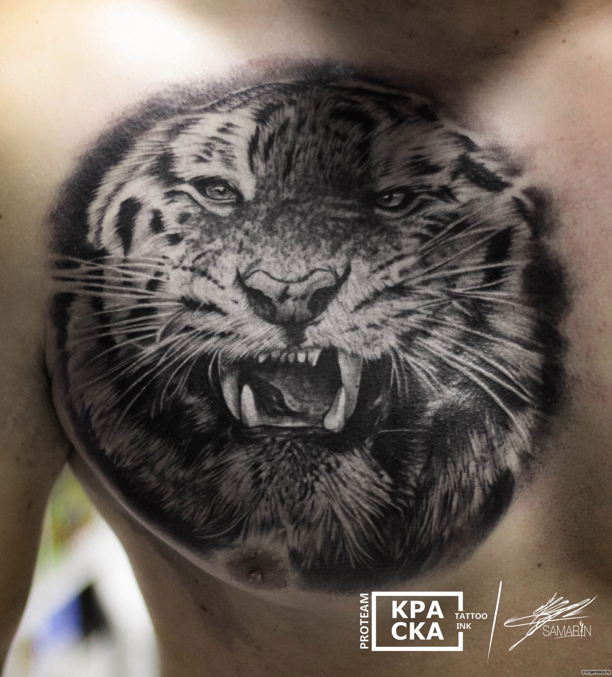 Татуировка оскал тигра на груди