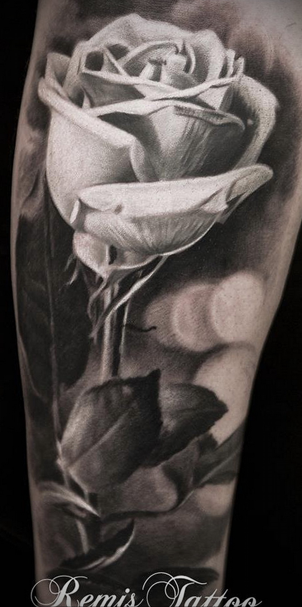 Татуировка белая роза (55 фото) .