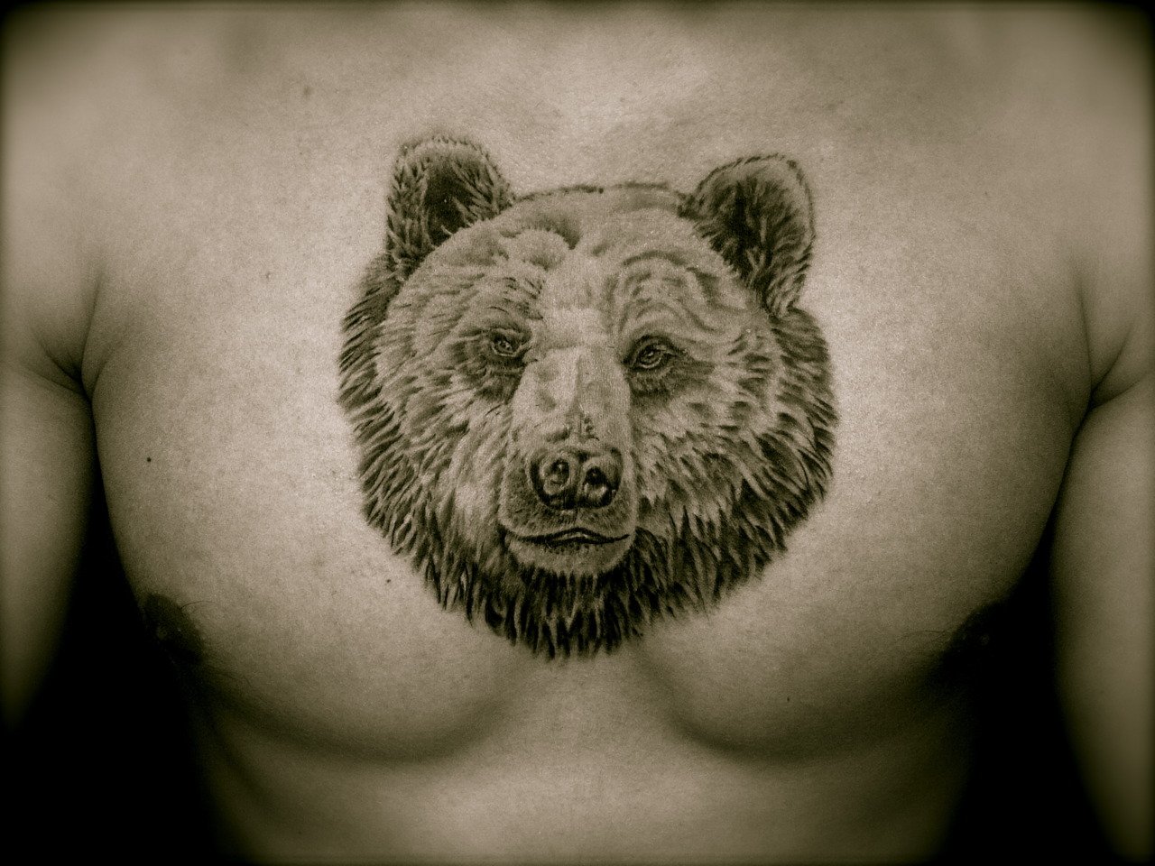 татуировки для мужчин с медведем на груди фото 24