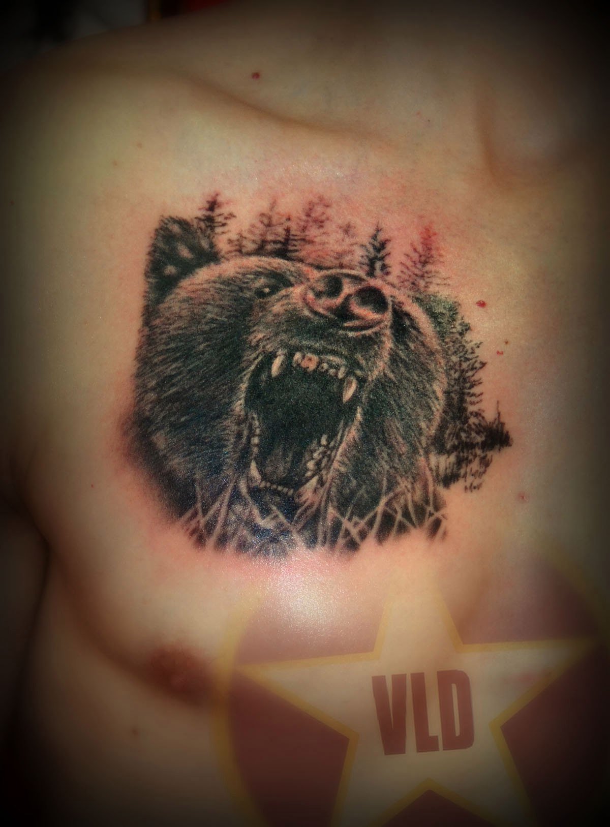 татуировки для мужчин с медведем на груди фото 26