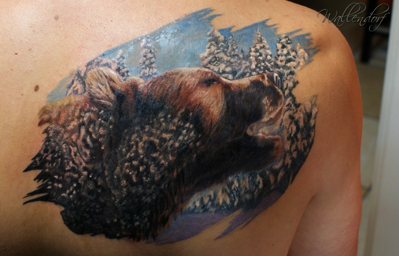 Татуировки мужские на лопатке медведь