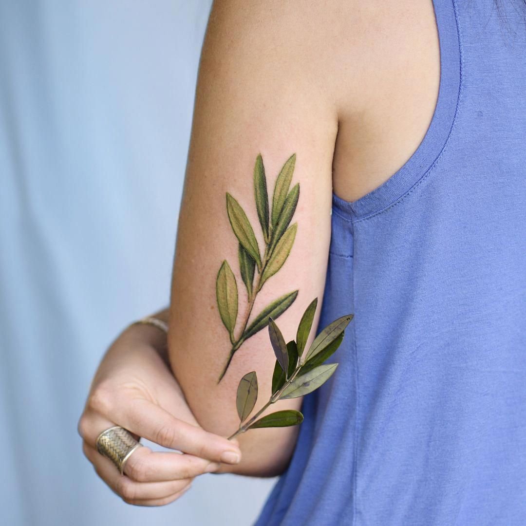 Художественная татуировка «Оливковая ветвь». Мастер- Лилия