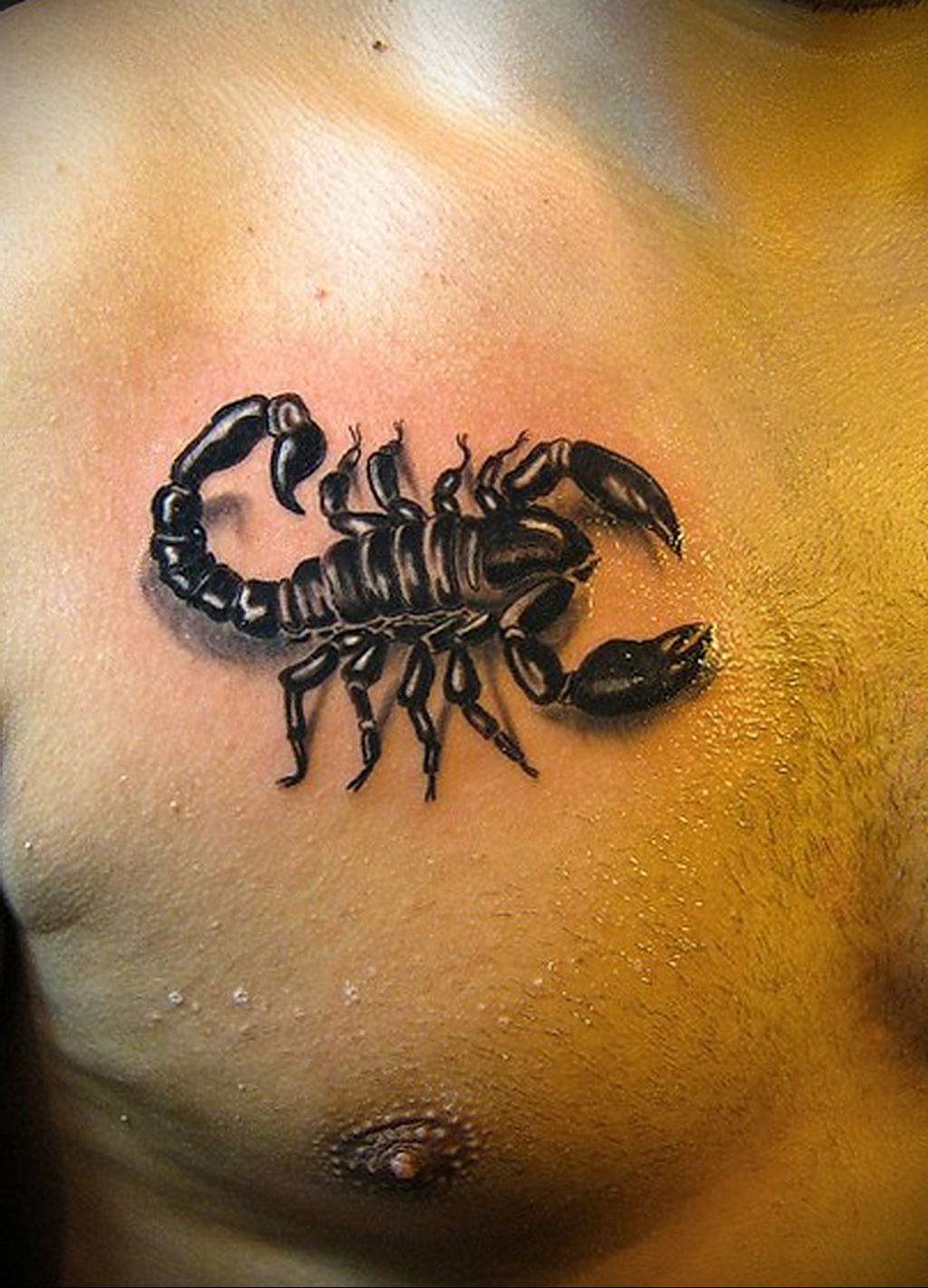 что означает тату скорпион на плече