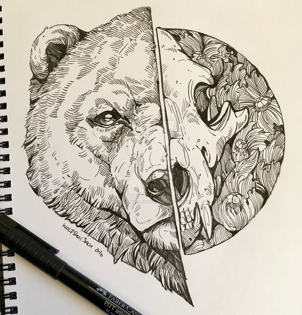Медведь в графическом стиле