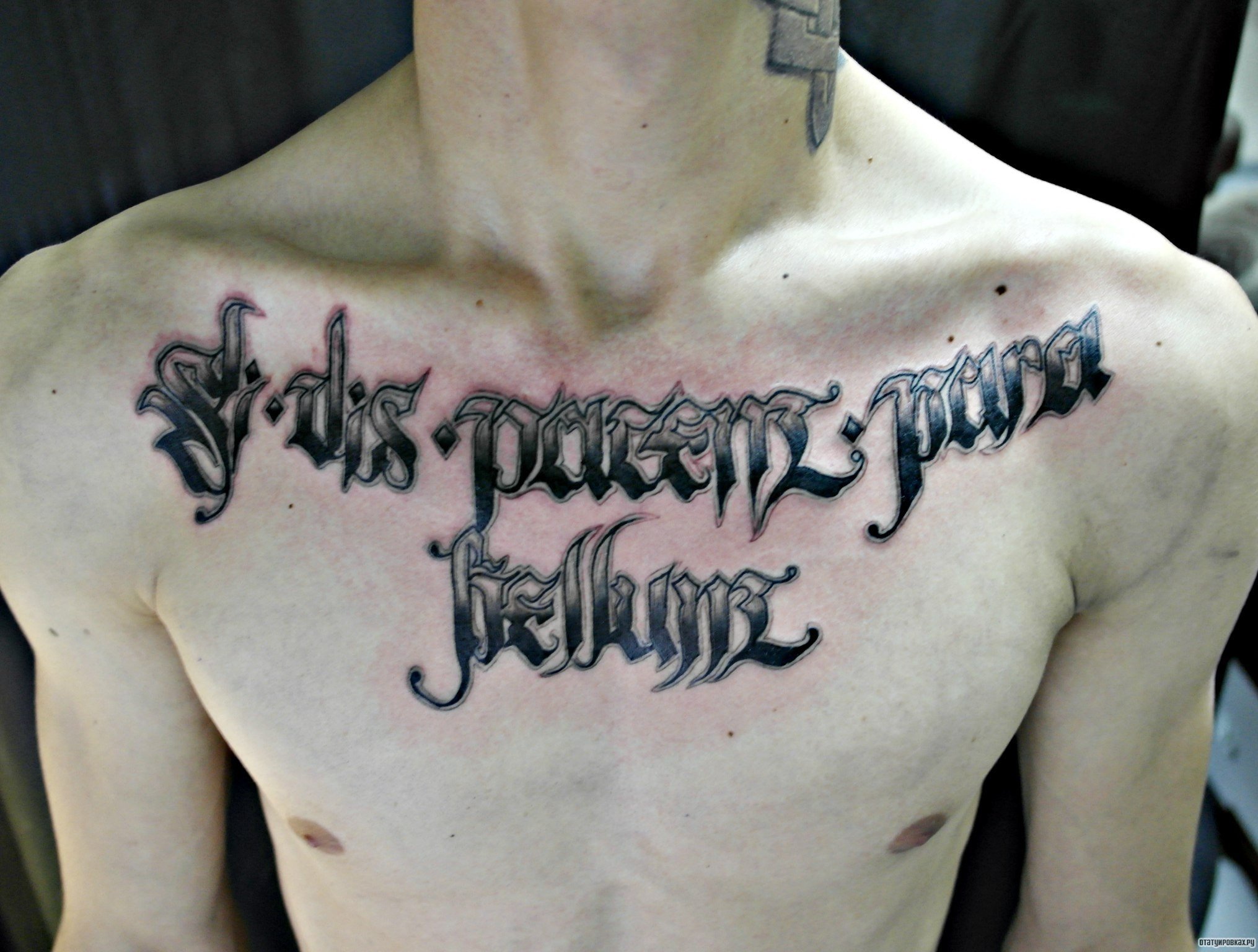 татуировки для мужчин на грудь надписи фото 81