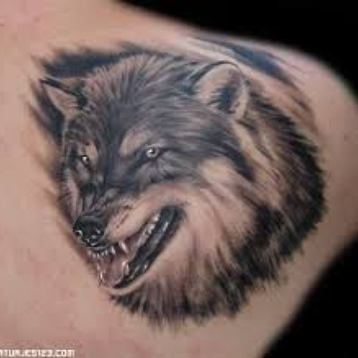 татуировки на плече оскал волка