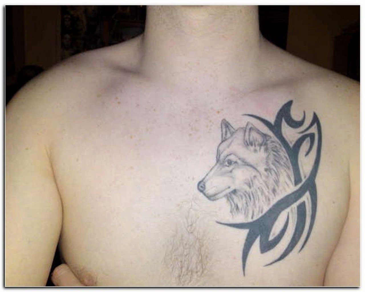 Татуировки волка на грудине мужские