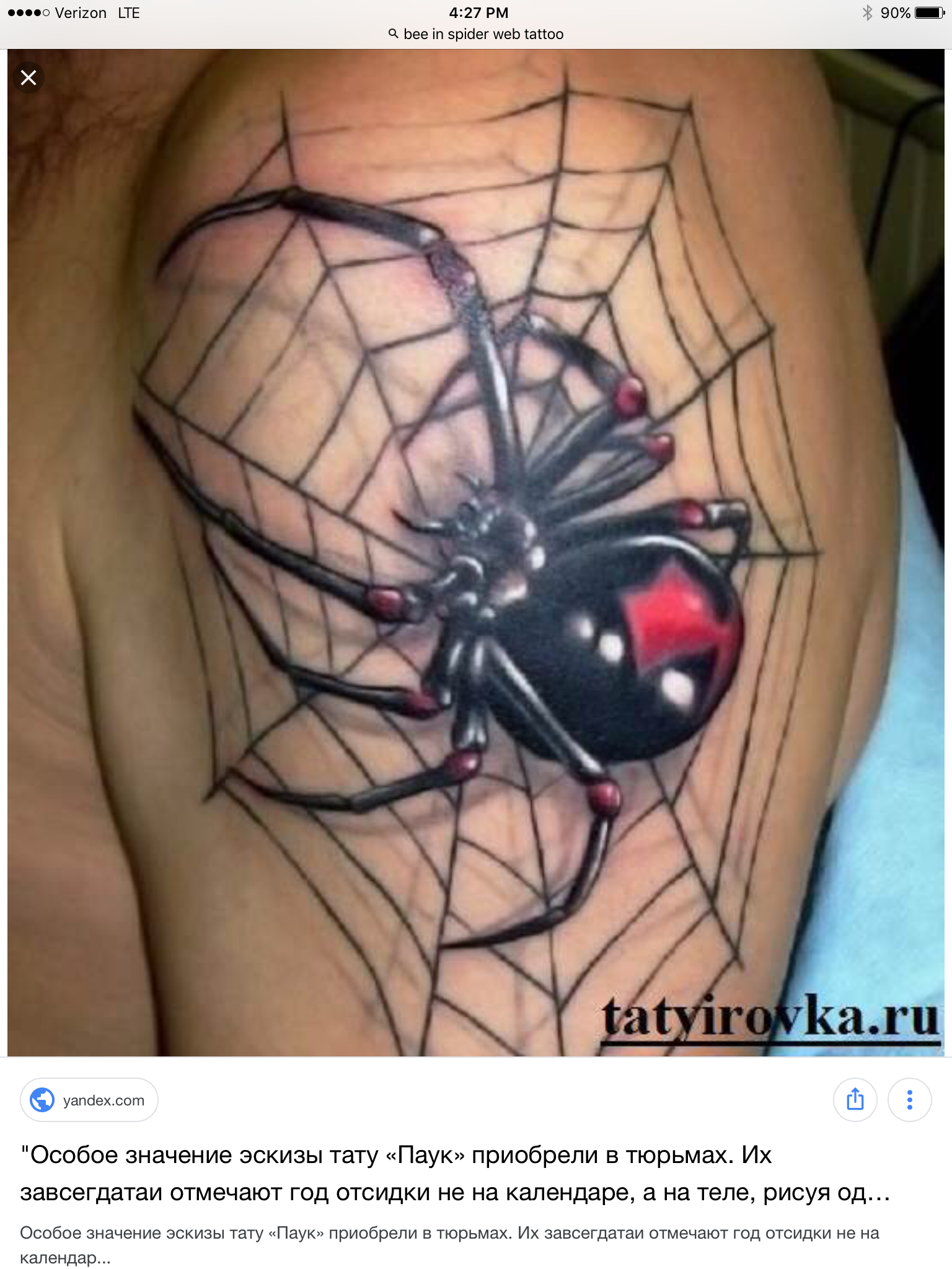 Чёрная вдова паук паутина