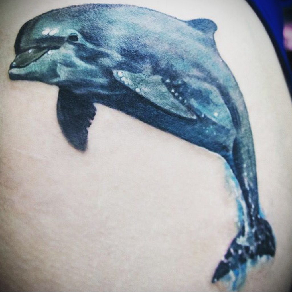 Цветное тату дельфины