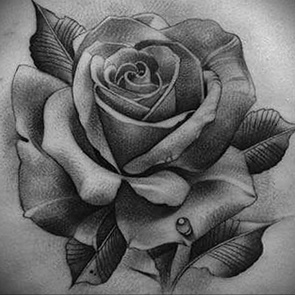 Татуировка роза эскиз (59 фото) .