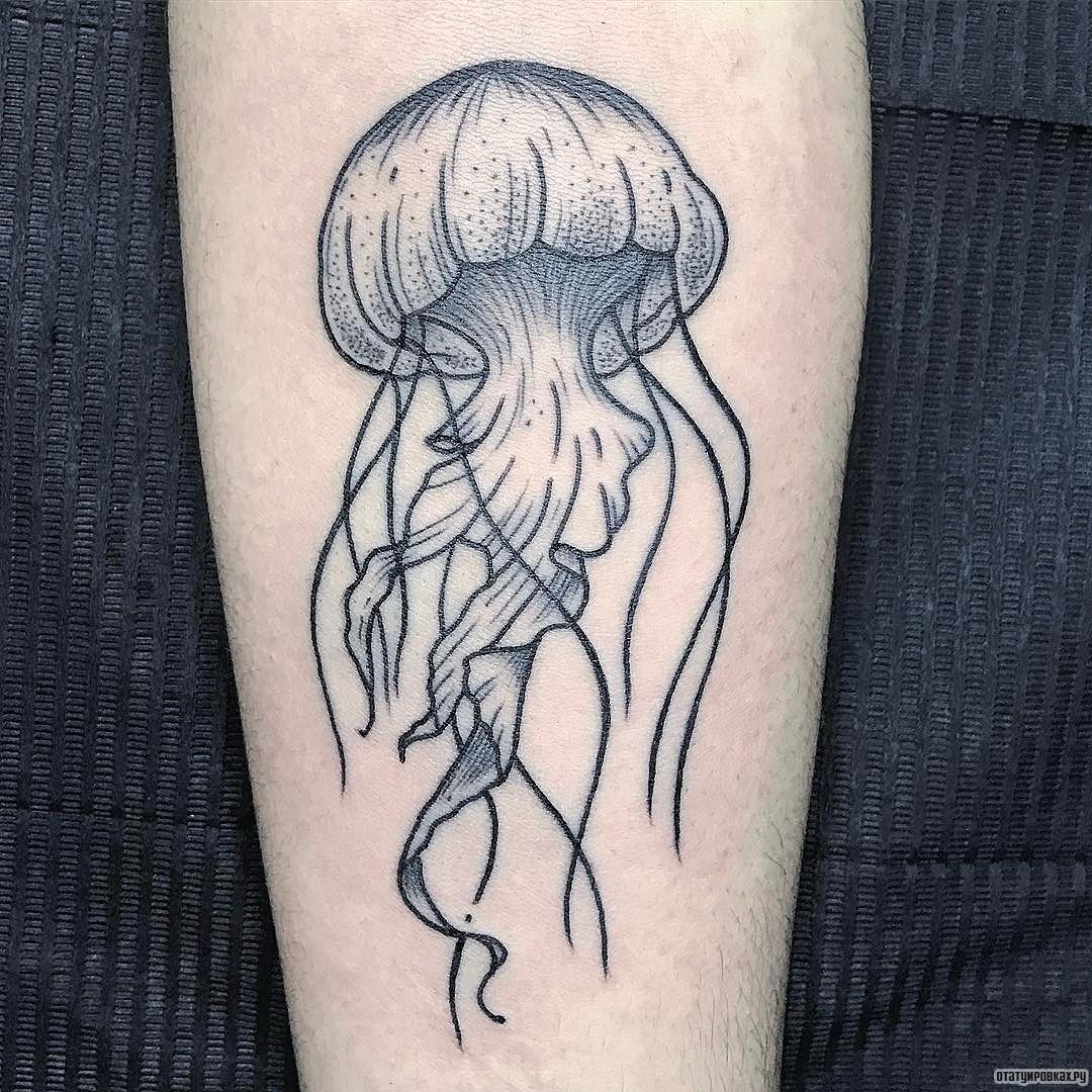 Медуза эскиз