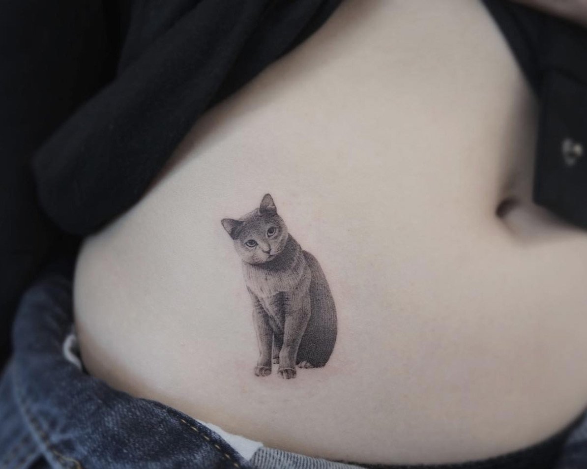 Татуировка кота на животе