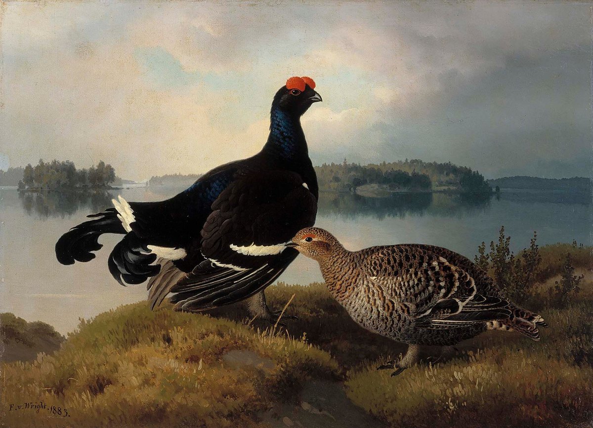 Художник Ferdinand von Wright (1822-1906 г.)
