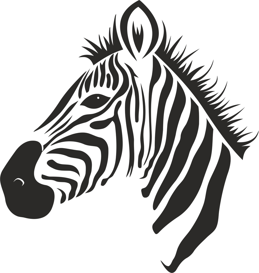 Очертания зебры