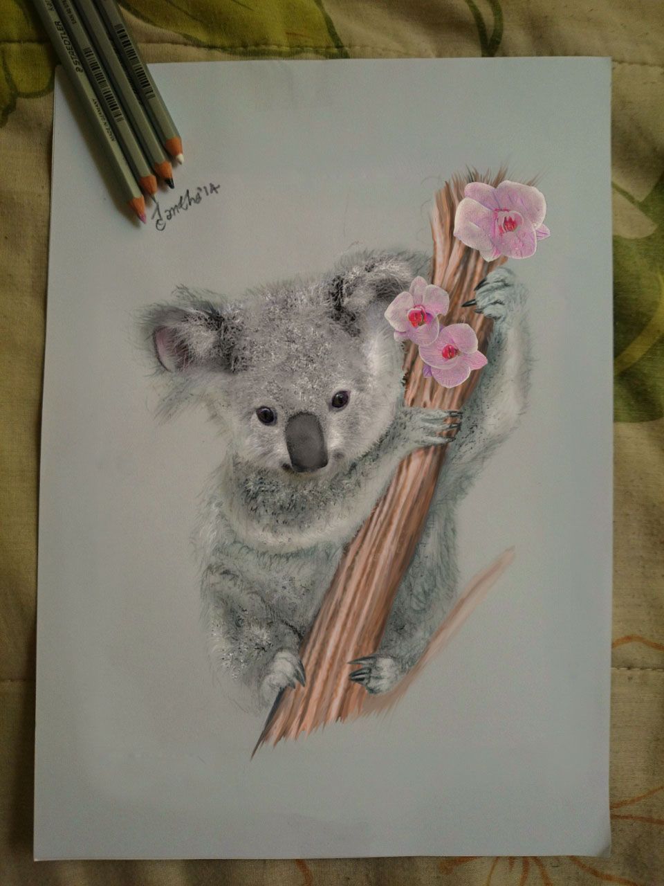 Рисование коала