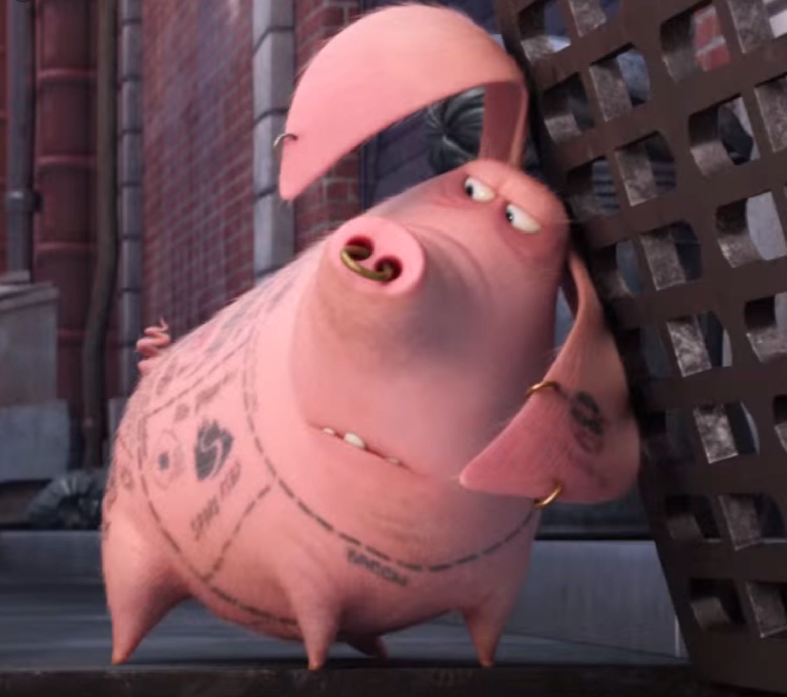 Танцнпы жизнь домашних животных свинья