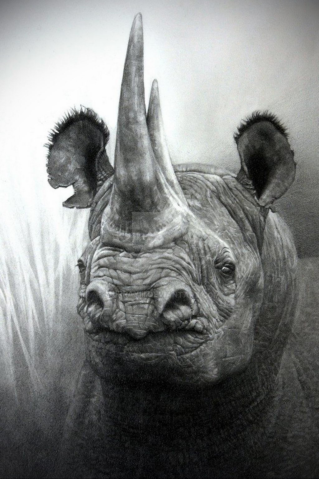 Злой носорог
