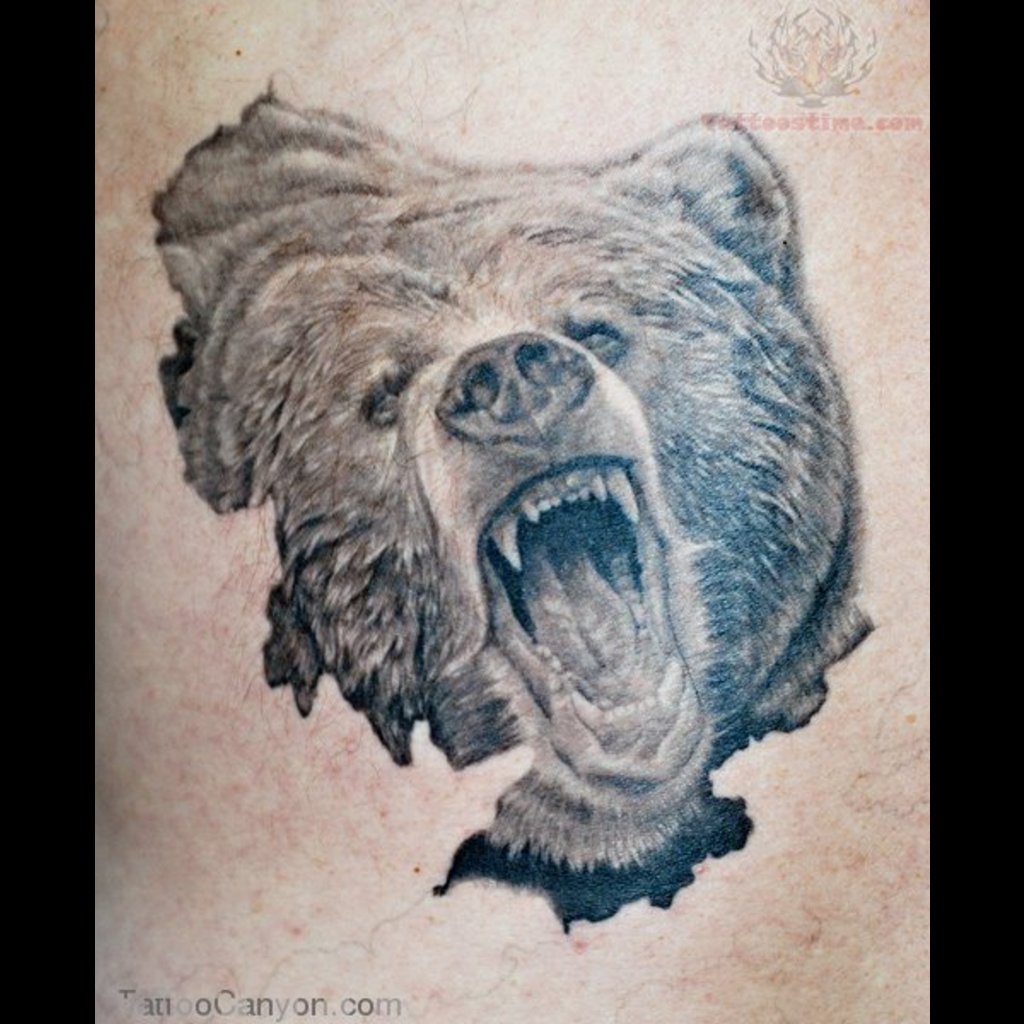картинки медведя для тату