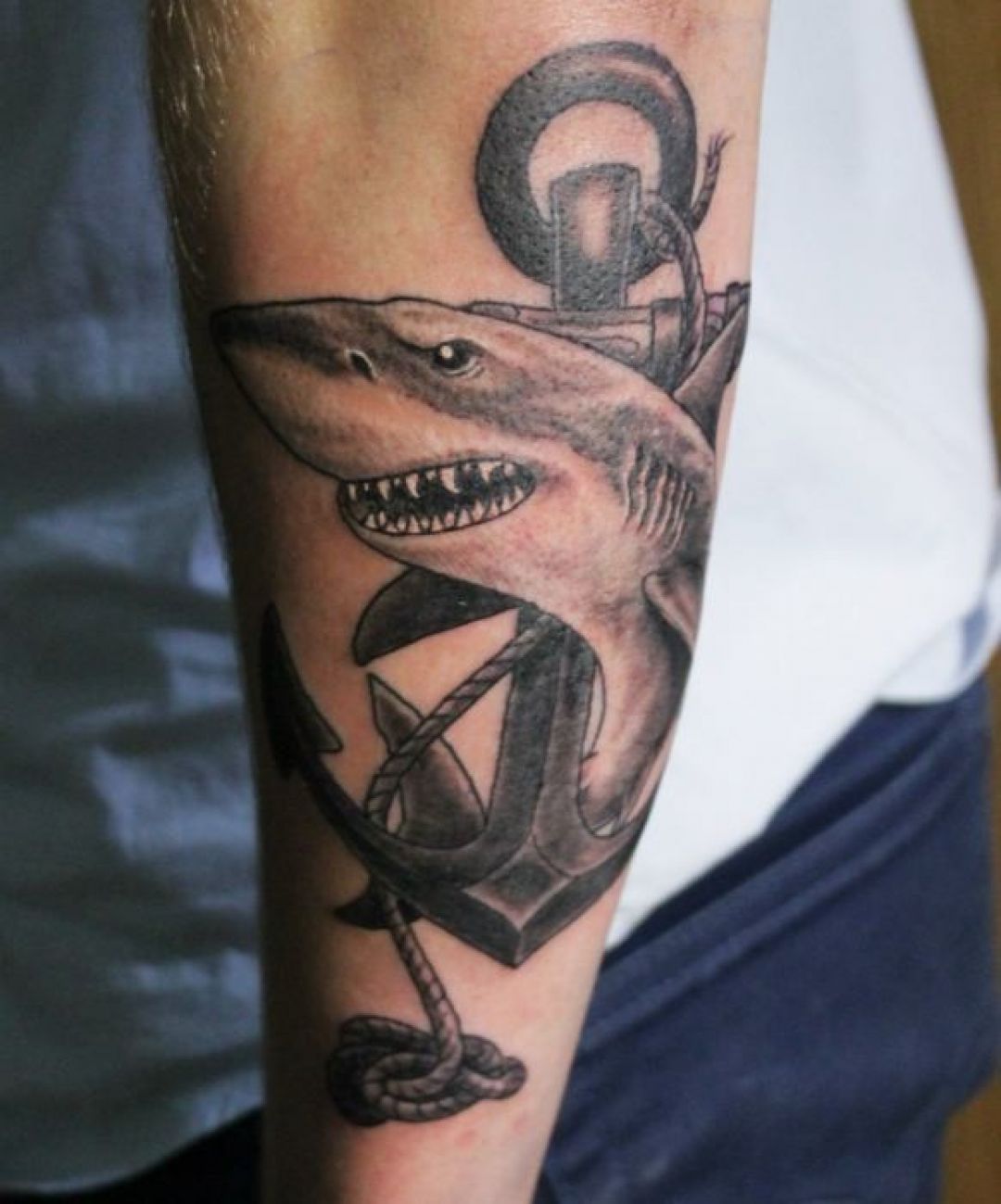 Татуировка акула и якорь