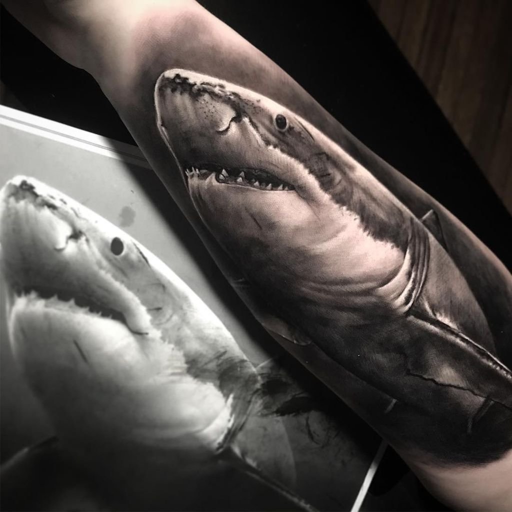 Тату акула на руке мужские