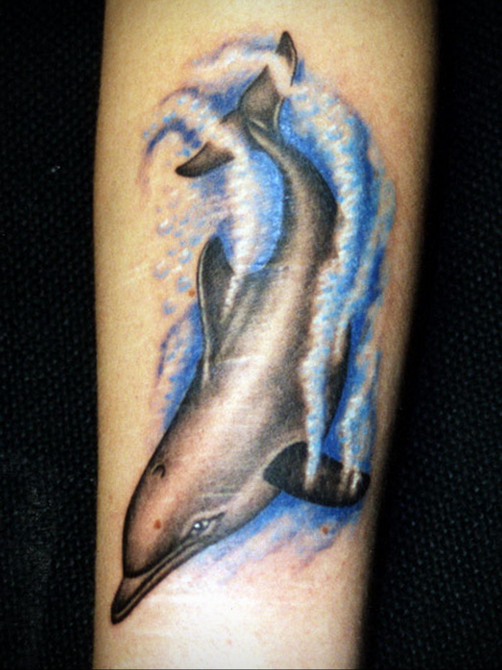 Тату Дельфин на плече