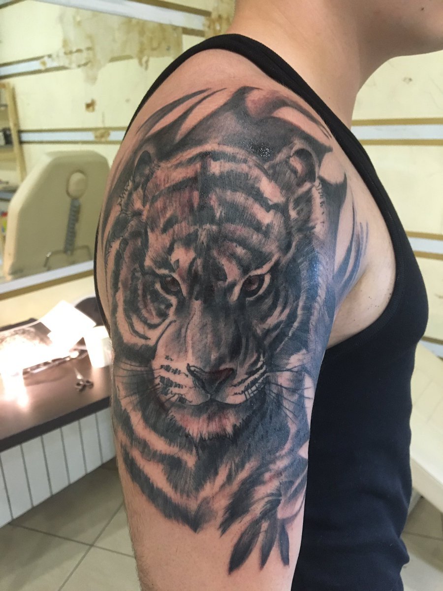 Тату тигра на плече
