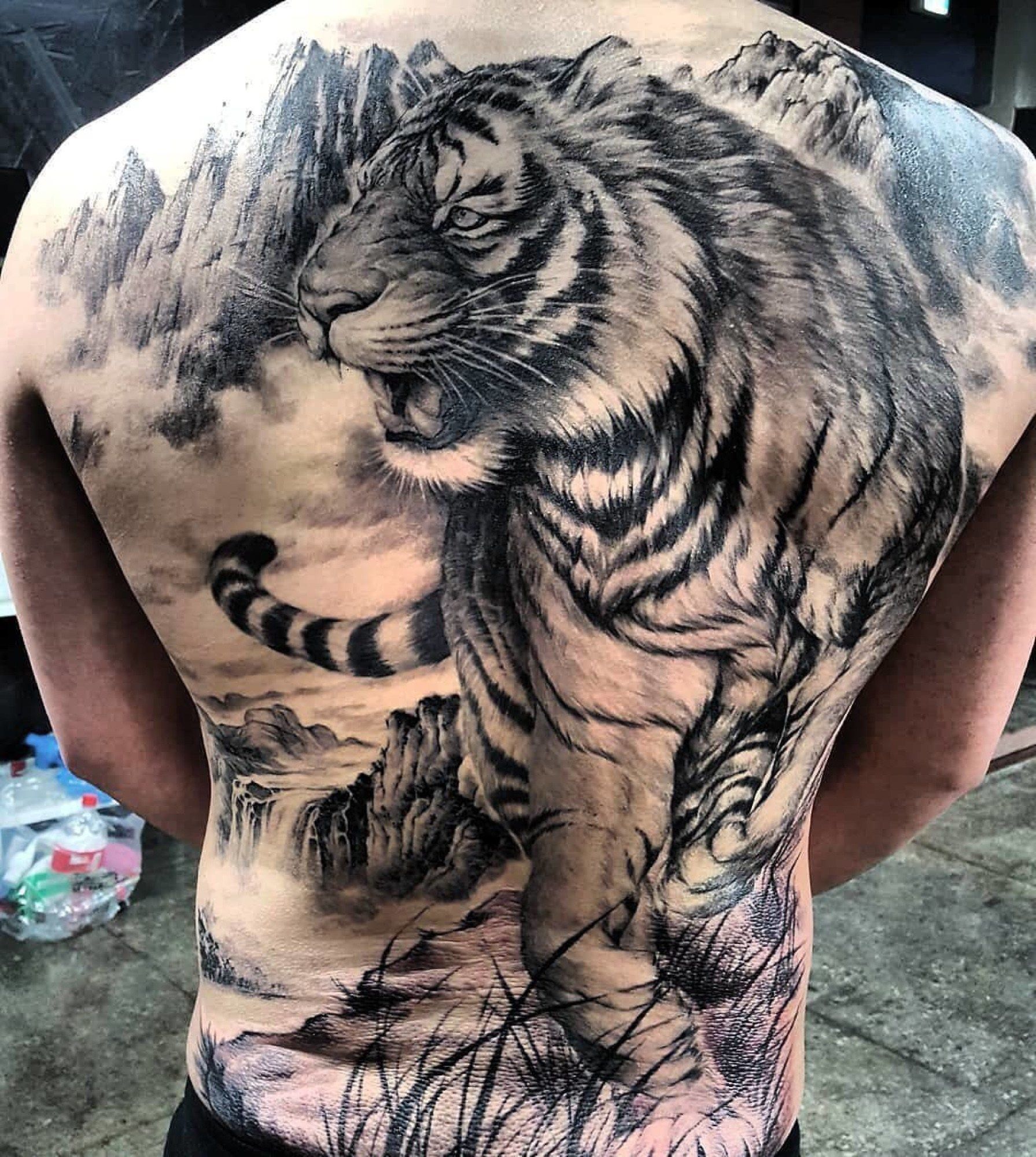 Тату тигра на всю спину