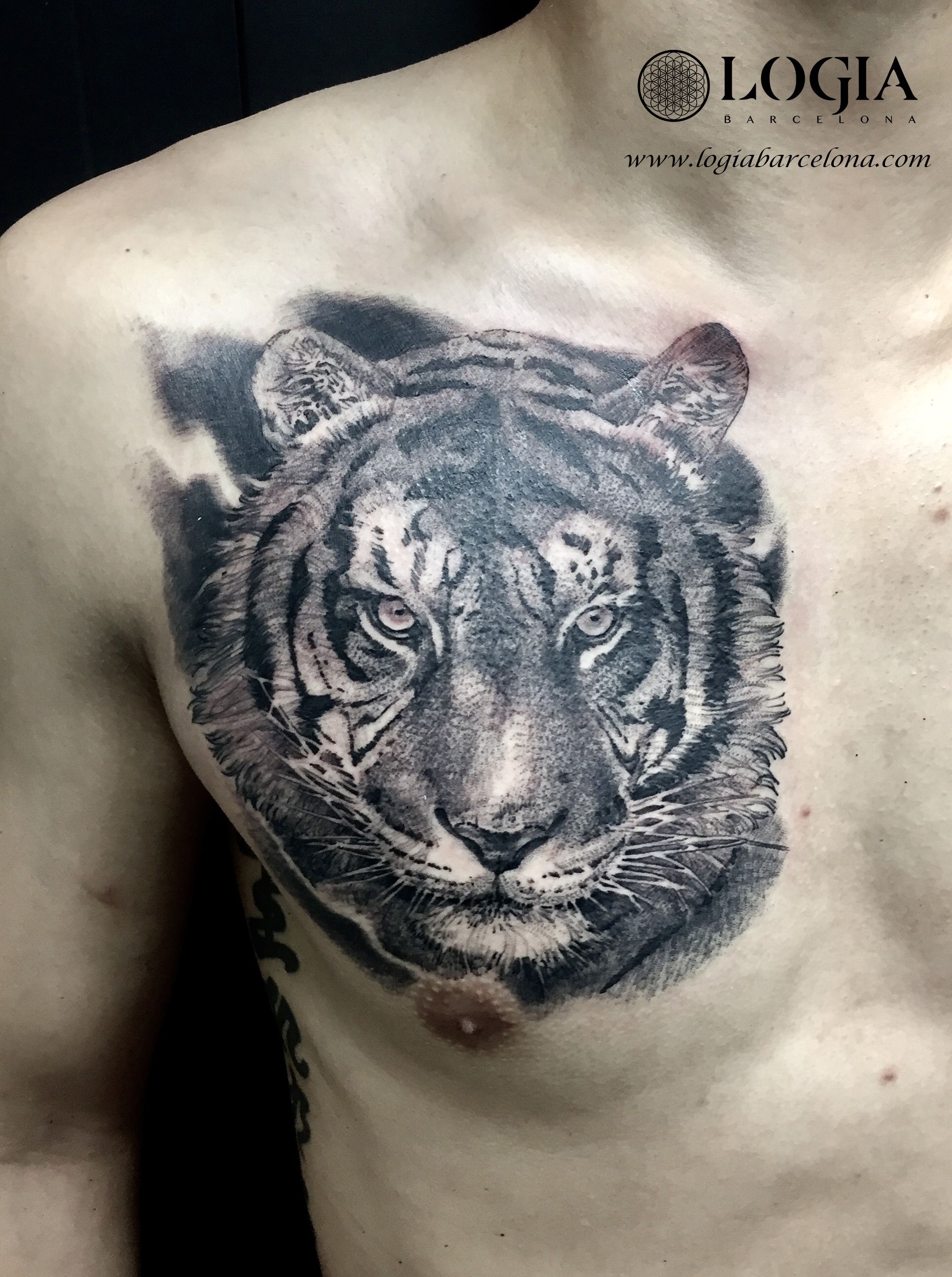татуировки для мужчин тигр на груди фото 4
