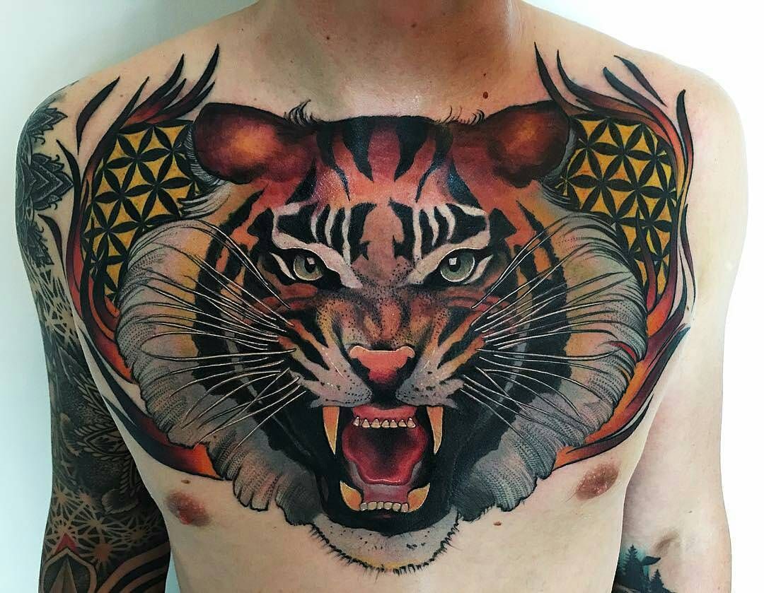 Тигр грудь цветной
